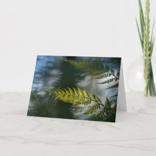 Natuur Green Fern Frond Kaart
