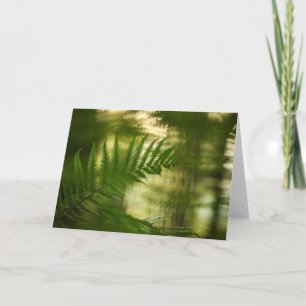 Natuur Green Fern Frond Kaart