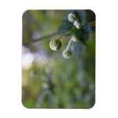 Natuur groene bloem tuintuinbouwfoto's magneet (Verticaal)