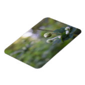 Natuur groene bloem tuintuinbouwfoto's magneet (Linkerzijde)