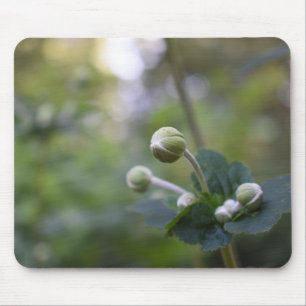 Natuur groene bloem tuintuinbouwfoto's muismat