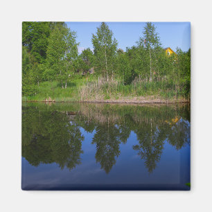 Natuur Groene Bomen Blauwmeer Wit-Rusland Magneet