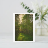Natuur Groene bomen bos Wit-Rusland Briefkaart (Staand voorkant)