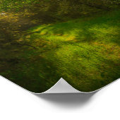 Natuur Groene bomen bos Wit-Rusland Poster (Hoek)