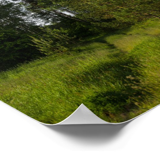 Natuur Groene bomen bos Wit-Rusland Poster (Hoek)