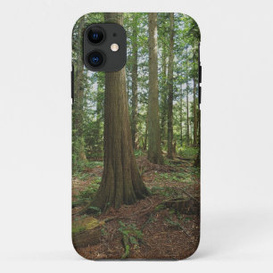 Natuur Groene bosbossen bossen Case-Mate iPhone Case