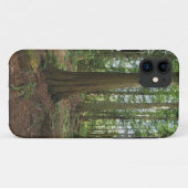 Natuur Groene bosbossen bossen Case-Mate iPhone Case (Achterkant (horizontaal))