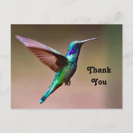 Natuur Groene Kolibrie Foto Bedankt Briefkaart