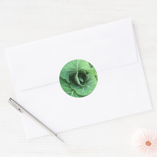 Natuur Groene kool Ronde Sticker (Envelop)