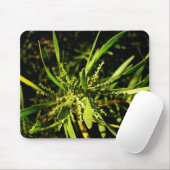 natuur groene Mousepad Muismat (Met muis)