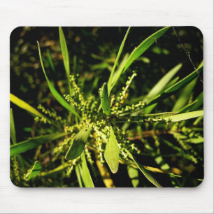 natuur groene Mousepad Muismat