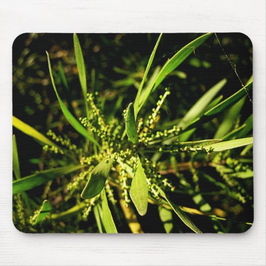 natuur groene Mousepad Muismat (Voorkant)
