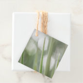 Natuur Groene pointe Plant Foto Bedankjes Labels (In situ)