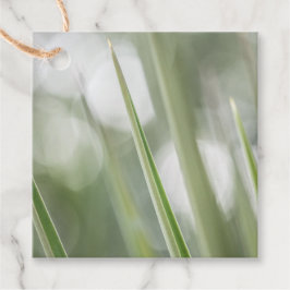 Natuur Groene pointe Plant Foto Bedankjes Labels