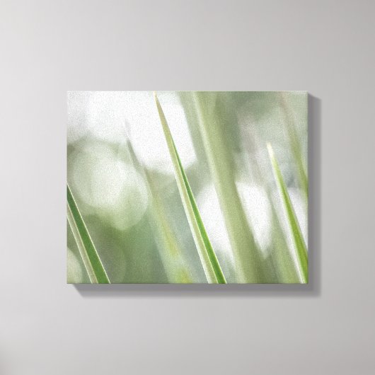 Natuur Groene pointe Plant Foto Canvas Afdruk (Voorkant)