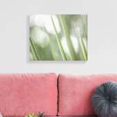 Natuur Groene pointe Plant Foto Canvas Afdruk (Insitu (Woonkamer))