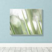 Natuur Groene pointe Plant Foto Canvas Afdruk (Insitu (Houten vloer))