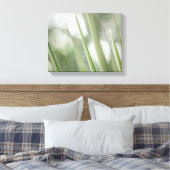 Natuur Groene pointe Plant Foto Canvas Afdruk (Insitu (Slaapkamer))