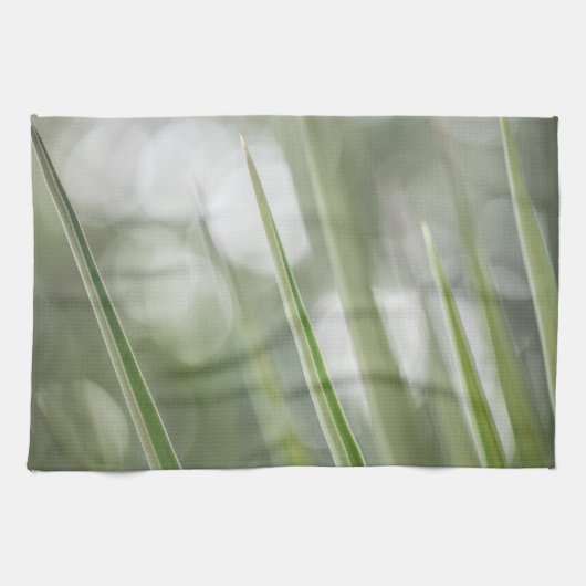 Natuur Groene pointe Plant Foto Theedoek (Horizontaal)