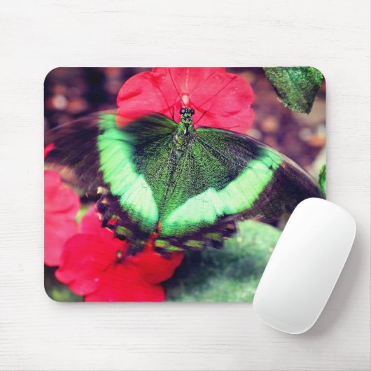 Natuur groene vlinder muismat (Met muis)