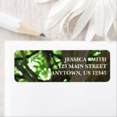 Natuur groene Wisteria Pergola Etiket (Insitu)