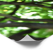 Natuur groene Wisteria Pergola Poster (Hoek)