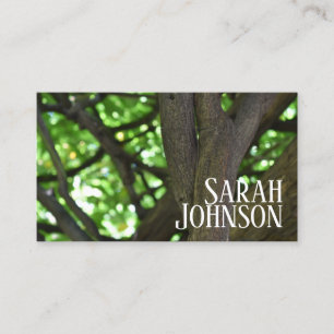 Natuur groene Wisteria Pergola Visitekaartje