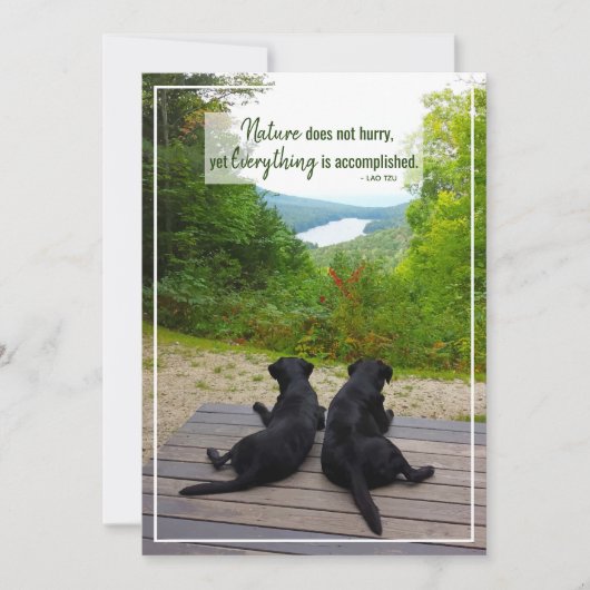 Natuur haast zich niet met Inspirerend citaten Kaart (Voorkant)
