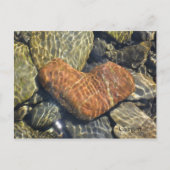 natuur hart briefkaart (Voorkant)