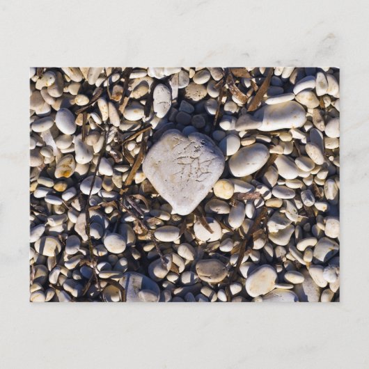 Natuur hartkaart briefkaart (Voorkant)