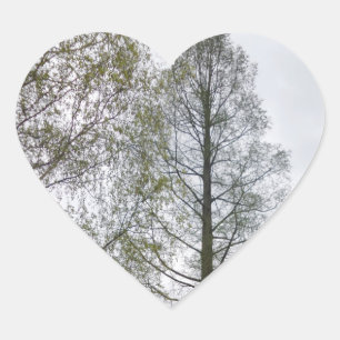 Natuur hartsticker hart sticker