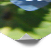 Natuur Heals art prints Blue Hydrangea Flowers (Hoek)