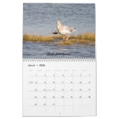 Natuur heeft een gevoel van Humor Kalender (Mar 2026)