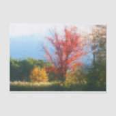 Natuur herfst afbreken  tissuepapier (Voorkant)