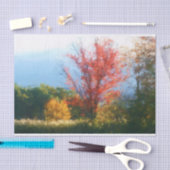 Natuur herfst afbreken  tissuepapier (Craft)