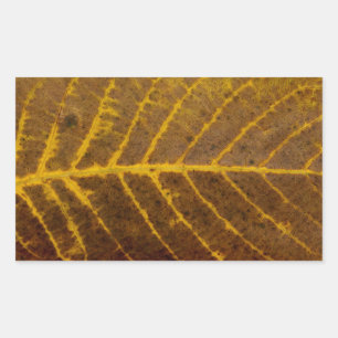 natuur herfstboombladtextuur patroon achtergrond rechthoekige sticker