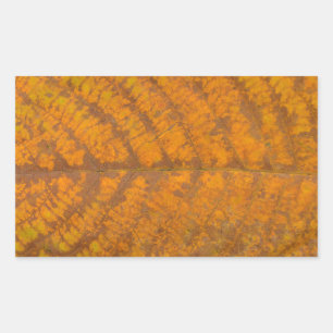natuur herfstboombladtextuur patroon achtergrond rechthoekige sticker