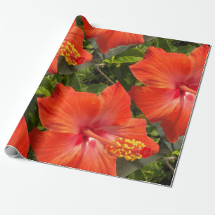 natuur, hibiscus, bloem, zomer, floreel, tropisch cadeaupapier