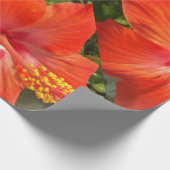natuur, hibiscus, bloem, zomer, floreel, tropisch cadeaupapier (Hoek)