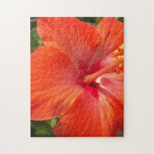 natuur, hibiscus, bloem, zomer, floreel, tropisch legpuzzel (Verticaal)