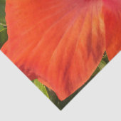 natuur, hibiscus, bloem, zomer, floreel, tropisch tissuepapier (Detail)