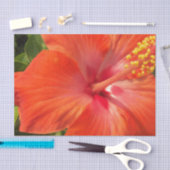 natuur, hibiscus, bloem, zomer, floreel, tropisch tissuepapier (Craft)