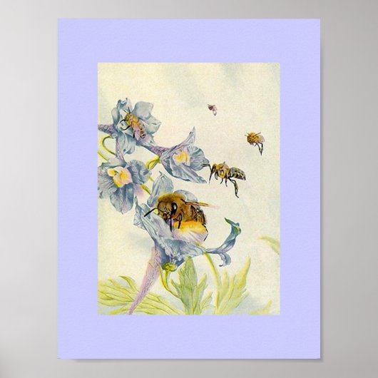 Natuur honingbijen en goudbloemen Lila Poster (Voorkant)