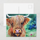 Natuur Hoogland Koe waterverf Briefkaart (Voorkant / Achterkant)