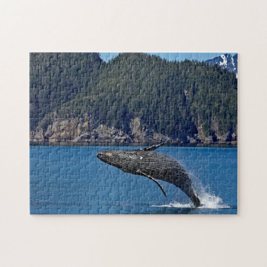 Natuur Humpback Whale Wildlife Foto Legpuzzel (Horizontaal)
