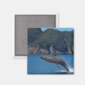 Natuur Humpback Whale Wildlife Foto Magneet (Voorkant / Achterkant)