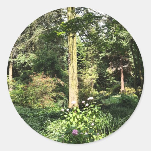 Natuur Hydrangea Wood Trees Fotografie Ronde Sticker (Voorkant)