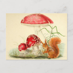  Natuur Illustratie - Eekhoorn, Paddenstoelen Briefkaart
