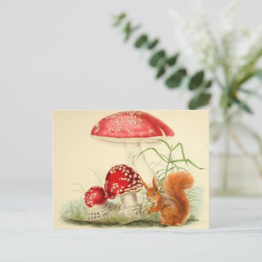  Natuur Illustratie - Eekhoorn, Paddenstoelen Briefkaart (Staand voorkant)
