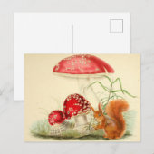  Natuur Illustratie - Eekhoorn, Paddenstoelen Briefkaart (Voorkant / Achterkant)